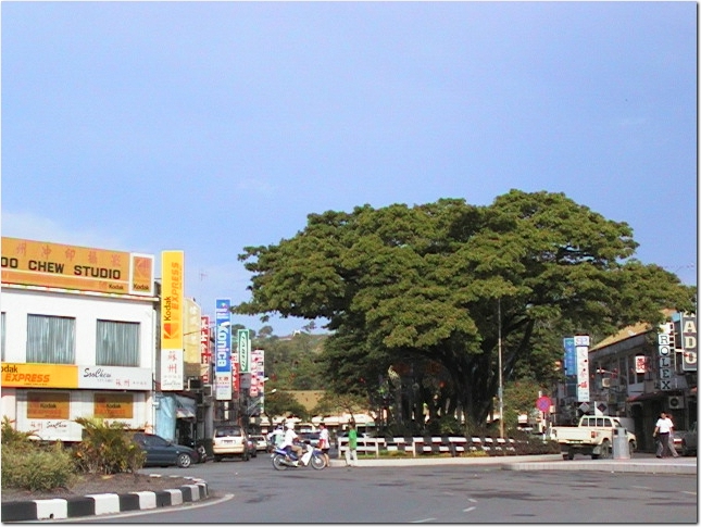 IM000161.jpg